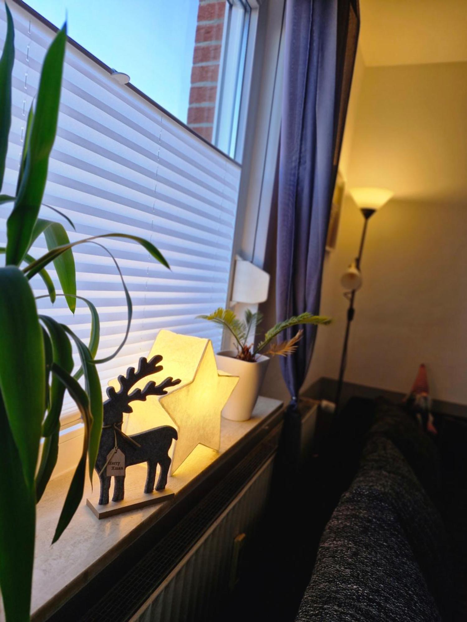 Apartment Mit Garten Bad Lauterberg Exterior foto